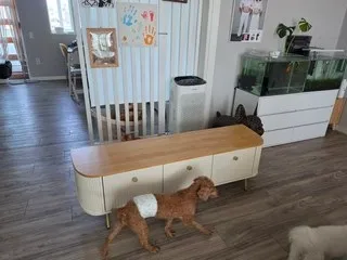 파로마 안톤 템바보드 거실장 리뷰5