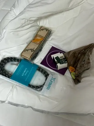 제논 일렉기타 리뷰6