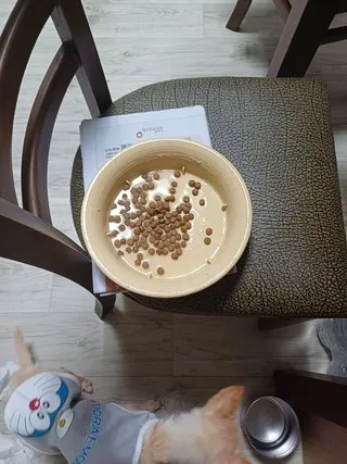 필립스 커피머신 리뷰6