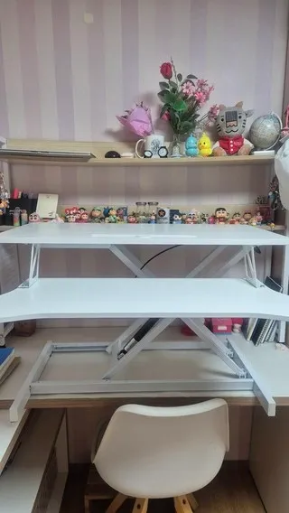 모션 데스크 에어 리프트 리뷰8
