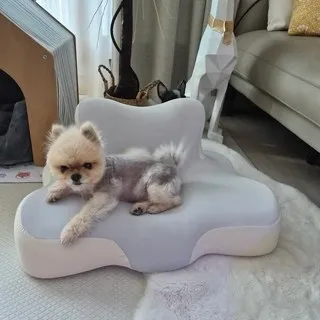 경추 베개 리뷰9