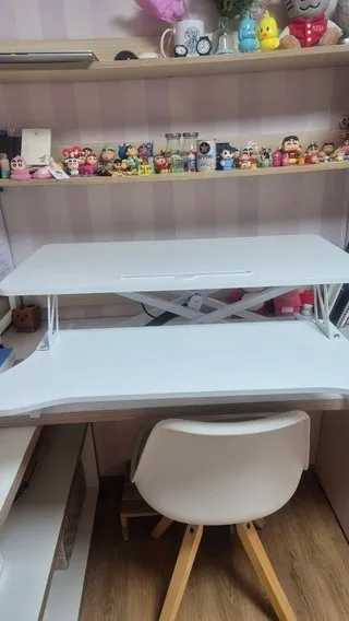 모션 데스크 에어 리프트 리뷰10