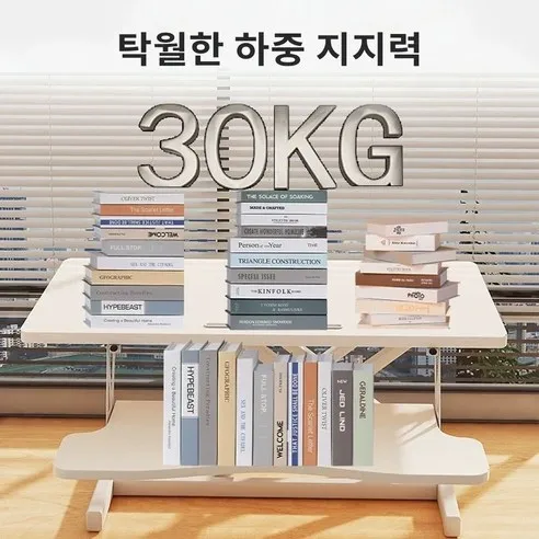 모션 데스크 에어 리프트 사진4