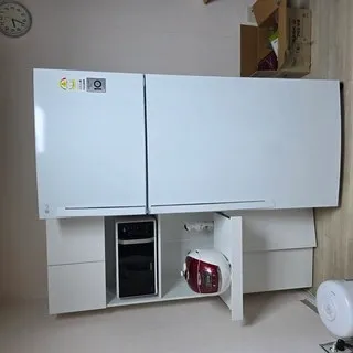 LG전자 507L 2도어 냉장고