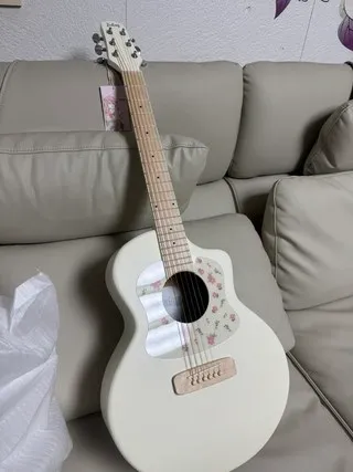데이지 기타 리뷰2